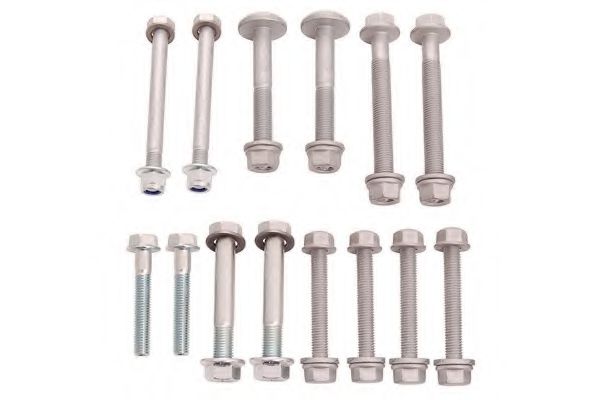 Болт важеля передн. ос Audi A6/7 повний к-кт 14 шт