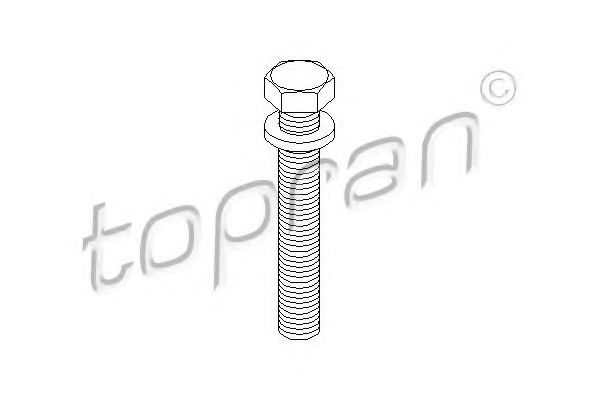 Болт шкiва M18x1,5mm L=110mm SWAG арт. 109336