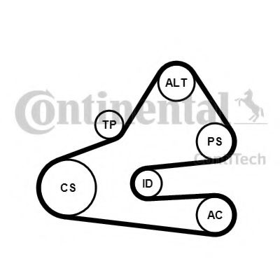 Комплект доріжкових пасків GATES арт. 6PK1613K1