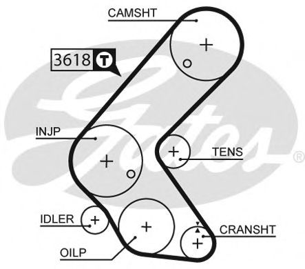 5563XS (8597-15563)  Ремінь ГРМ GATES XS BOSCH арт. 5563XS