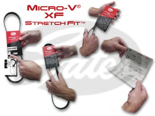 6PK831SF (8653-10558)  Ремінь (поліклиновий) GATES MICRO-V HORIZON SF DAYCO арт. 6PK831SF